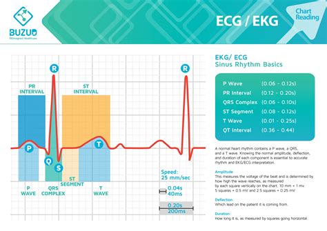 身心能量分析|ECG